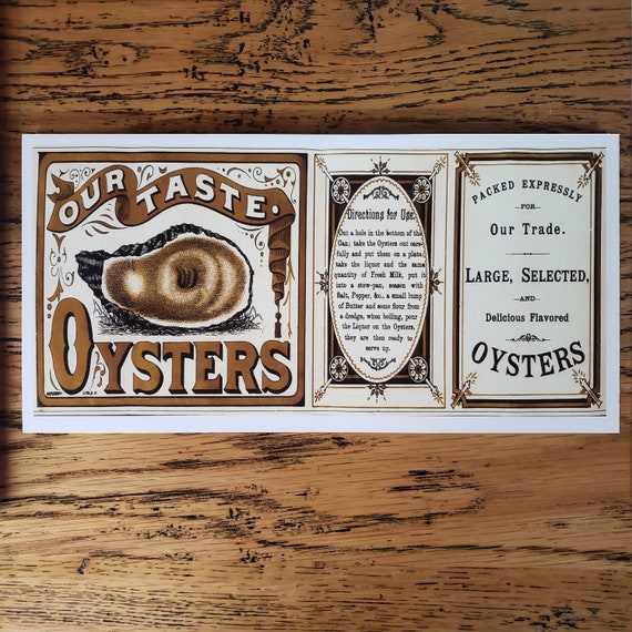 Our Taste Oysters