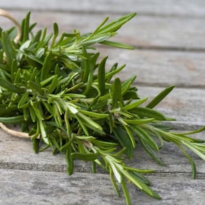 Grekisk torkad rosmarin: Ekologisk vild bergsört (30 g)