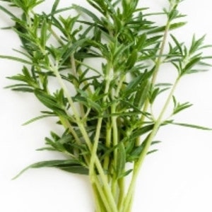 May include: A bunch of fresh green thyme sprigs.
