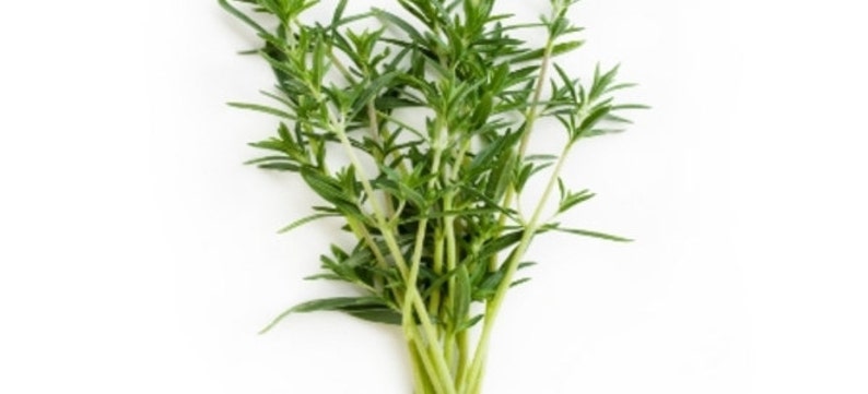 May include: A bunch of fresh green thyme sprigs.
