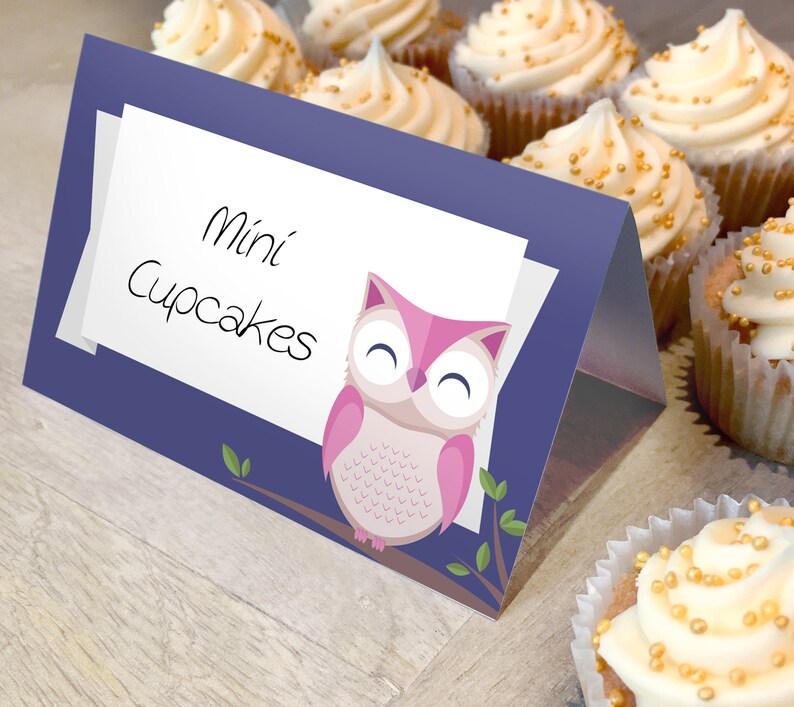 Woodland Baby Shower Decorations Girl Owl Place Cards Food Tent Cards Food Labels INSTANT DOWNLOAD Printable