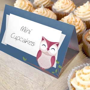 Woodland Baby Shower Decorations Boy, Owl Place Cards, Food Tent, Food Labels, INSTANT DOWNLOAD Printable