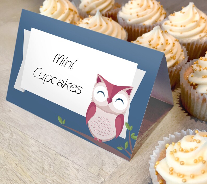 Woodland Baby Shower Decorations Boy, Owl Place Cards, Food Tent, Food Labels, INSTANT DOWNLOAD Printable image 1