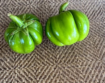 Solanum Macrocarpon – Melanzana Africana, 10 Semi, Da Coltivare In Vaso O Orto - 3