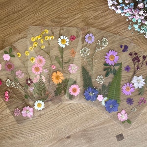 May include: Four clear, square coasters with pressed flowers. Each coaster features a unique arrangement of colorful dried flowers, including daisies, pink blooms, and yellow flowers. The coasters are arranged on a wooden surface.