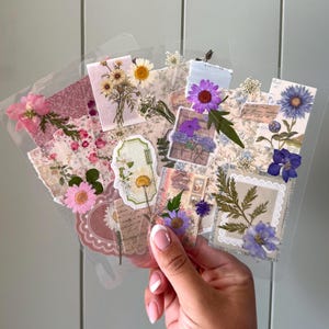 May include: A collection of pressed flower art pieces, featuring various colorful blooms and foliage. The floral arrangements are set against patterned paper backgrounds and encased in clear plastic sleeves. The pieces are held in a hand with a neutral background.