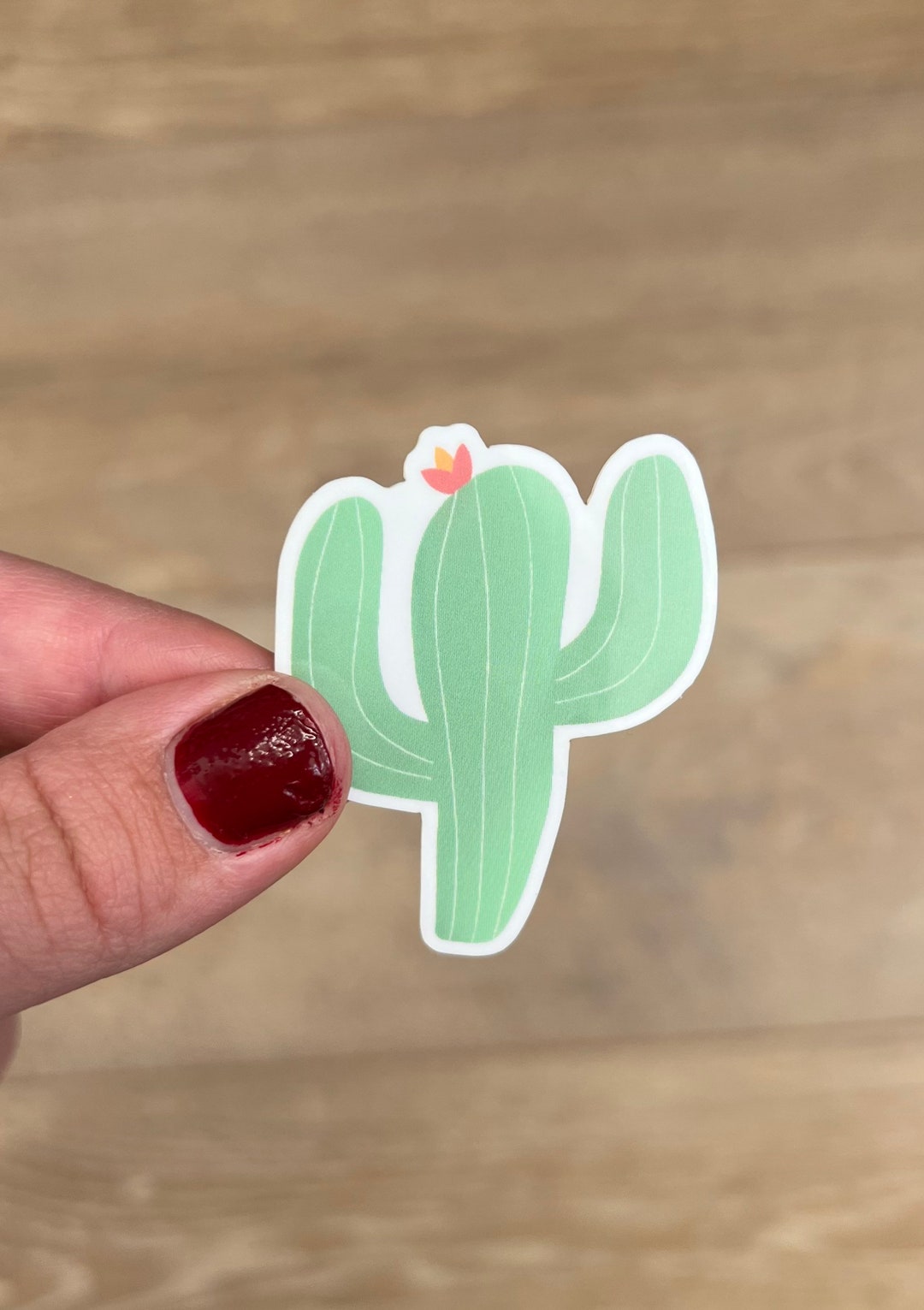 Cactus Vinyl Sticker: Desert Plant Decal (1.6 X 2”) - Etsy