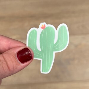 Cactus Vinyl Sticker: Desert Plant Decal (1.6 x 2”)