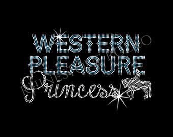 Western pleasure princess