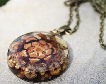 Handmade Nature Pine Cone Boho Necklace Pendant with Crystal resin - Men’s Woman’s Jewelry gift - Forest Pine Pendant