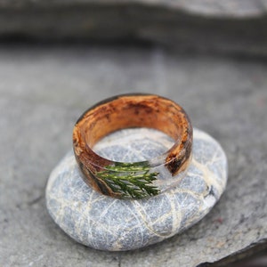 Real Juniper resin ring Birch bark Mens ring Wood resin ring Nature resin ring Boho ring Rustic ring Eco Friendly Green Forest Jewelry image 2