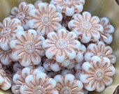 White and Gold Daisy Flower Czech Glass Bead, 17mm, 6 beads