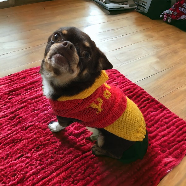 Pooh bear dog costume