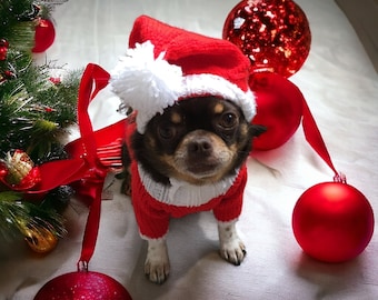 Dogs Santa hat and jumper set