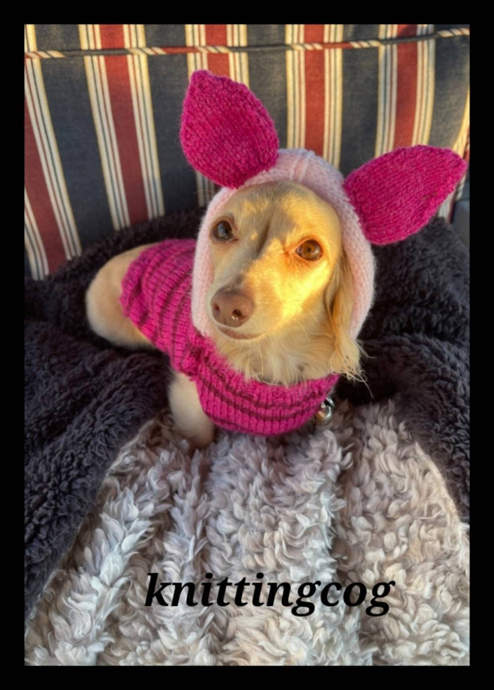 Warm Winter Knitting Cat Dog Sweater Pet Clothes Coat Jersey PIGLET M