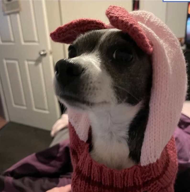 Piglet Dog Costume Etsy UK