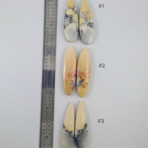 Maligno Jasper Cabochons Choice