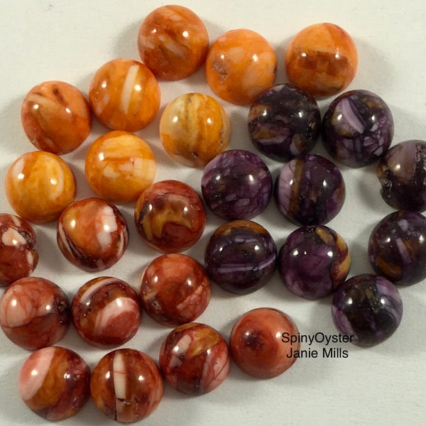 Spiny Oyster cabochon Orange, Red or Purple 4mm 5mm 6mm 8mm or 10mm pk of 2