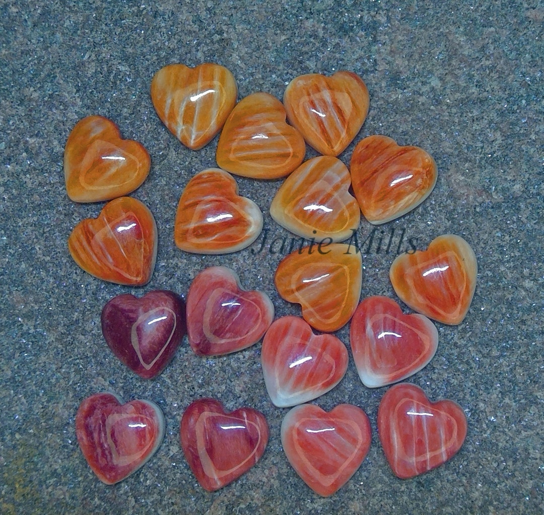 Spiny Oyster Heart Cabochon Orange or Red 11mm Pkg of 2 Etsy