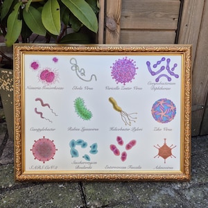 Stampa artistica di batteri colorati Vol. 2 – Arte murale scientifica
