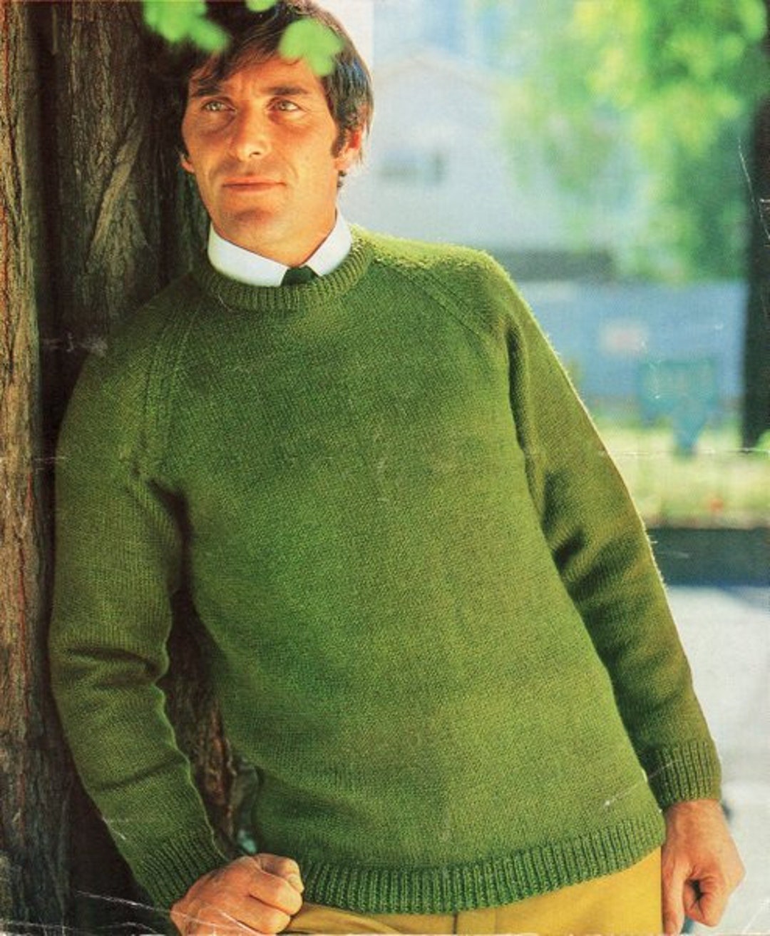 【U LAN】Graph Button Raglan Knit Easy Quick Knit Beginner Stocking Stitch Sweater Raglan Roll
