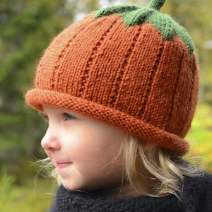 May include: A knitted pumpkin hat in orange with green leaves on top. The hat is worn by a child with blonde hair.