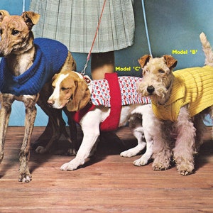 Vintage 3 Styles Dog Coats and Sweaters Pattern in 3 Sizes  ~  DK 8Ply Light Worsted Knitting Pattern PDF Instant download