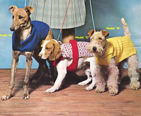 Knitted greyhound deals coats