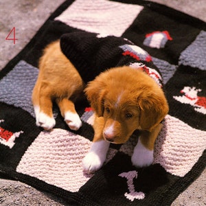 Dog Blanket & Coat Sweater ~ Bones House and Scottie Dog Motif - fits Petite to XL Dogs    ~ Aran Knitting Pattern PDF Instant download