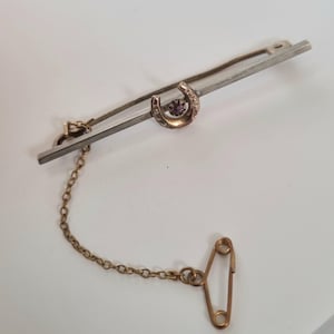 Puede incluir: Una barra de corbata vintage con un dije de herradura dorada con una pequeña gema púrpura. La barra es de color plateado, con una cadena dorada y un imperdible. Un accesorio clásico.