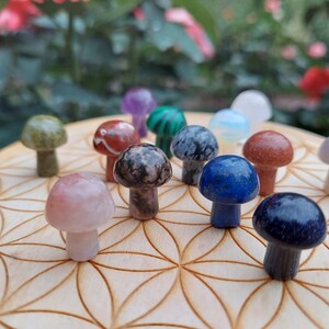 ONE or SIX Crystal Mushroom Randomly & Intuitively Chosen Mini Mushroom Healing Energy Reiki Natural Hand Carved Metaphysical image 5