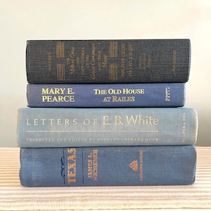 May include: A stack of four vintage books in shades of blue. The titles and authors are visible, including "Texas" by James A. Michener and "Letters of E. B. White." The books are arranged on a striped surface.