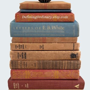 May include: A tall stack of vintage books in various colors, topped with a small black vase holding dried flowers. The books have titles like "Letters of E.B. White" and "The Peaceable Kingdom". The Etsy shop name "DefiningOrdinary.etsy.com" is visible.