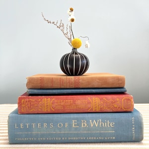 Curated Stack of Books to Decorate Airbnb Renter Friendly Decor Ideas