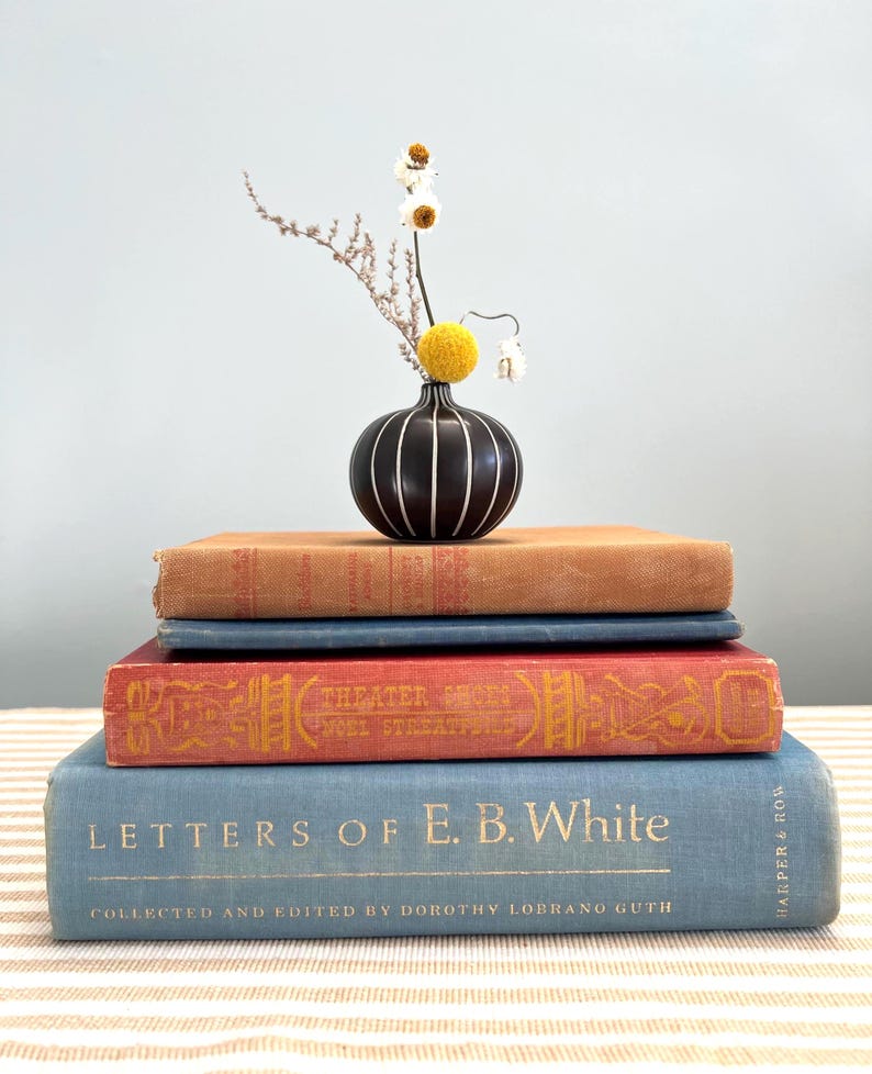 Curated Stack of Books to Decorate Airbnb Renter Friendly Decor Ideas