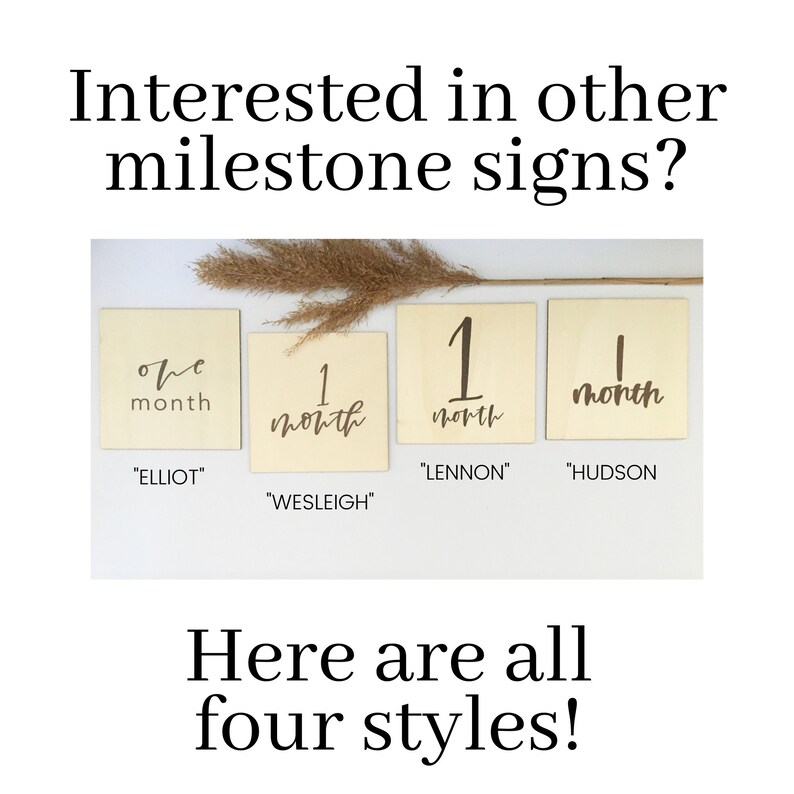 HUDSON Gifts for New Moms Baby Announcement Milestone Month Signs Month Markers INCLUDES Pregnancy and Birth Sign