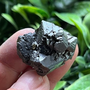 Puede incluir: Un grupo de cristales de pirita oscuros y metálicos, también conocidos como oro de los tontos, con formas geométricas afiladas. Los cristales se sostienen contra un fondo de follaje verde, resaltando sus superficies reflectantes. Espécimen mineral natural.