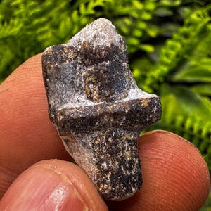 Staurolite loc.Oreshnik Vill.Topolovgrad Bulgaria natural crystal minerals specimen