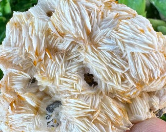 Baryt-Cerussit / Baryt-Cerussit-Cluster: Marokko, Einzelstück