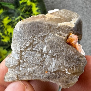 Amazing Cerussite Barite Morocco natural crystal minerals specimen clusters souvenirs WholesaleMineralsBox