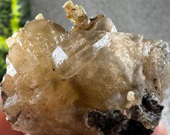 May include: A close-up of a raw, natural mineral specimen. The stone is a mix of beige and clear crystals with dark black inclusions. The mineral is held in a hand, with a blurred green and yellow plant in the background.