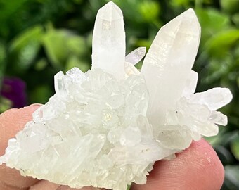Kwarc Madan Bułgaria naturalny kryształ kryształ minerały okazy klastry pamiątki WholesaleMineralsBox