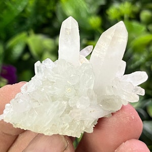 Puede incluir: Un cúmulo de cristales de cuarzo blanco con una forma puntiaguda e irregular. Los cristales están dispuestos en un cúmulo, con el cristal más grande en el centro.