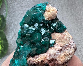 May include: A cluster of vibrant green crystals on a rough, brown and white matrix. The crystals have a sharp, geometric shape and a glossy finish.