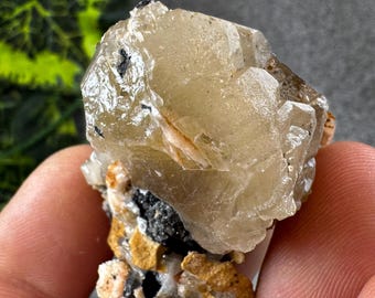 May include: A light-colored, crystalline mineral specimen. The mineral has a rough, textured surface with a mix of beige, black, and white colors. The specimen is held in a hand, with green and yellow foliage in the background.