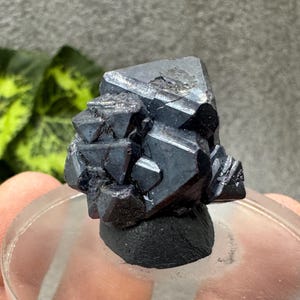 Cuprite Crystal Specimen, Altai Mineral Cluster