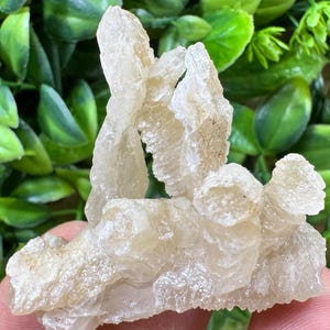 Calcita amarilla Madan Bulgaria, cristal natural, minerales, muestras, racimos, recuerdos, WholesaleMineralsBox