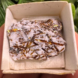 May include: A small, rectangular, off-white cardboard box containing a rough, flat mineral specimen. The stone features a light gray, textured base embedded with numerous thin, elongated, metallic brown and gold-colored crystal inclusions.