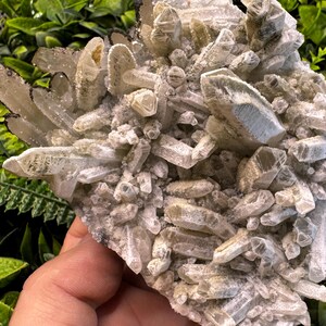 Puede incluir: Un grupo de cristales de cuarzo verde pálido con una superficie rugosa y texturizada. Los cristales están muy juntos, creando una forma irregular y dentada. El fondo presenta follaje verde.