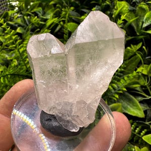 Amazing Quartz Brazil natural crystal minerals specimen clusters souvenirs WholesaleMineralsBox